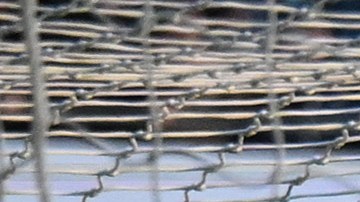 Manchester City se mantiene en la punta a pesar del empate.