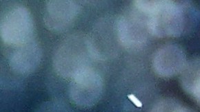 El director de Red Bull, Christian Horner, quedó satisfecho con el desempeño de los dos pilotos de la escudería en este 2023.