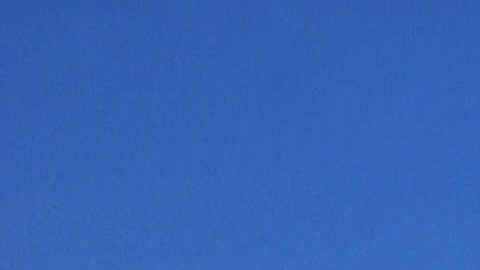 Arrestan a hombre armado con un rifle AR-15 en un parque cerca del Capitolio de EE. UU.
