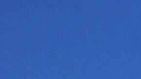 Arrestan a hombre armado con un rifle AR-15 en un parque cerca del Capitolio de EE. UU.