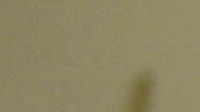 USDA advierte que escasez de cartones de leche afecta a comedores escolares en California, NY y otros estados