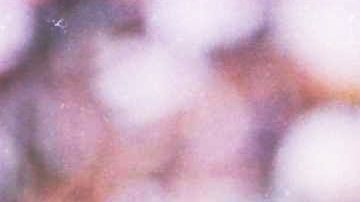 Hasselbach destacó como una agresiva ala defensiva en siete años con los Broncos.