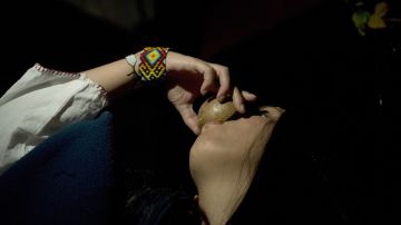 La peligrosa falta de regularización de la ayahuasca en México