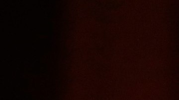 VIDEO: Avioneta se estrella contra auto durante un aterrizaje de emergencia en Texas