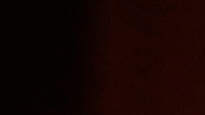 VIDEO: Avioneta se estrella contra auto durante un aterrizaje de emergencia en Texas