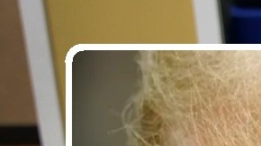 El expresidente Trump tiene planes de terminar con el Obamacare.