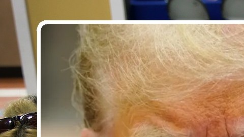 El expresidente Trump tiene planes de terminar con el Obamacare.