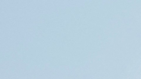 Cuatro heridos en un tiroteo en una autopista de Birmingham, Alabama