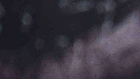 Mauricio Sulaimán