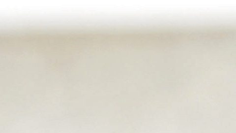 Cuauhtémoc Blanco está ilusionado con la actual temporada del Club América.