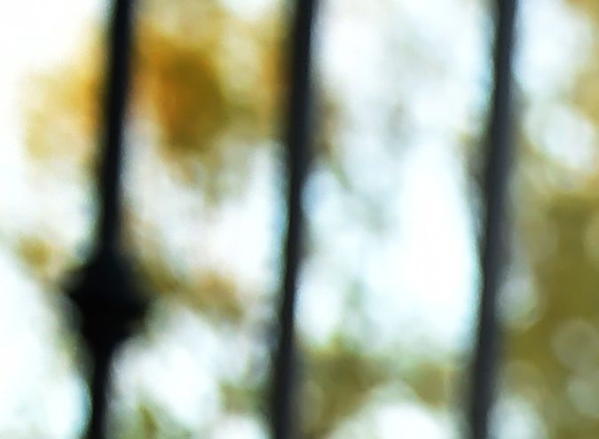 South Korean veterinarian Dr Lee Mikyong who rescued Chi Chi, the Golden Retriever after was tortured and left for dead in a trash bag in South Korea, says farewell after accompanying her for her adoption in Los Angeles on March 11, 2016. Chi Chi who had all four legs amputated after irreparable damage from being bound and hung upside in a dog meat market will go to a new home in Arizona after being brought to the US by the Animal Rescue, Media & Education (ARME) rescue group. / AFP / Mark Ralston (Photo credit should read MARK RALSTON/AFP via Getty Images)