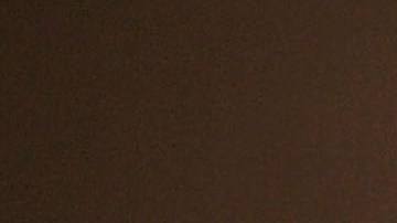 Arrestan a un hombre por desnudarse en una atracción de Disneyland