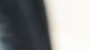 LOS ANGELES - OCTOBER 30: A canine arrives at the Dogswell Dog Treats Presents: The Fourth Annual Much Love Animal Rescue Bow Wow Ween on October 30, 2005 in Brentwood, Los Angeles, California. Much Love is a non-profit, no kill charity that finds homes for dogs and cats about to be terminated at Los Angeles area animal shelters. (Photo by David Livingston/Getty Images)