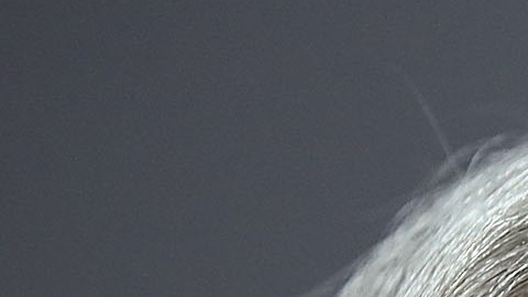 Jill Stein aspira a ser nominada como candidata a la Presidencia por el Partido Verde.