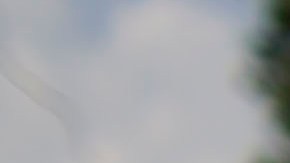 Presuntos restos de una joven desaparecida en Indiana hallados en el patio de su vecino