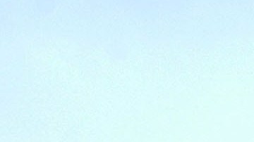 Una pareja a bordo de un avión monomotor murió tras estrellarse al oeste de Michigan