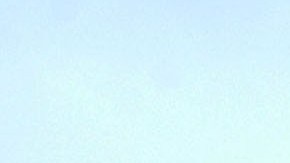 Una pareja a bordo de un avión monomotor murió tras estrellarse al oeste de Michigan