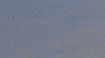 El Congreso avanza en negociaciones de reforma migratorias.