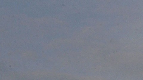 El Congreso avanza en negociaciones de reforma migratorias.