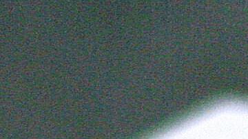 Niño disparó accidentalmente el arma de su madre en un Walmart de Ohio