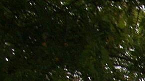 Lynwood, UNITED STATES: The entrance to the Century Regional Detention Facility of Lynwood, California is pictured 01 June 2007, where Paris Hilton must spend 45 days for driving on a suspended license. The 26-year-old hotel heiress, who is to begin her sentence 05 June 2007, will be eligible for a reduced sentence for good behavior. AFP PHOTO/GABRIEL BOUYS (Photo credit should read GABRIEL BOUYS/AFP via Getty Images)