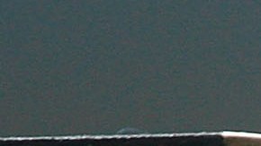 Un hombre murió en Iowa tras recibir un disparo en la cara de un miembro de su grupo de caza