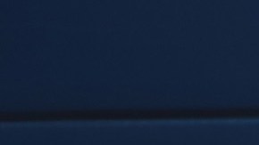 Hombre con una placa falsa del FBI disparó con perdigones a un conductor en Michigan