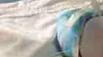 Los hermanos se encuentran hospitalizados en Oaxaca.