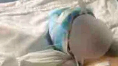 Los hermanos se encuentran hospitalizados en Oaxaca.