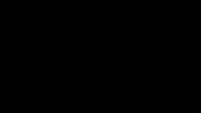 Hillary Clinton, excandidata presidencial demócrata