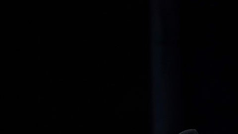 Hillary Clinton, excandidata presidencial demócrata