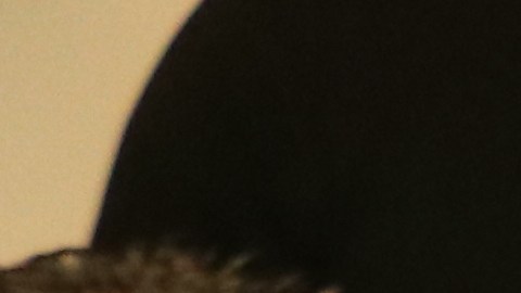 Maritza,la madre de Jesse Domínguez clama por justicia.