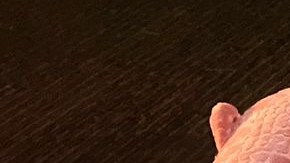 Descubren en Sinaloa, al norte de México, paquetes con peluches rellenos de marihuana