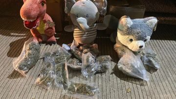 Descubren en Sinaloa, al norte de México, paquetes con peluches rellenos de marihuana