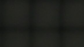 Santiago Giménez y Henry Martín.