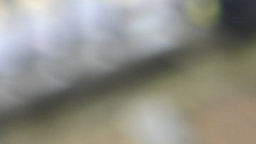 Guido Pizarro fue campeón con Tigres el torneo pasado