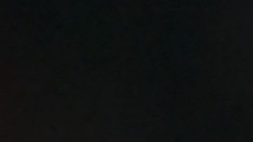 André Jardine, entrenador de las Águilas del América.