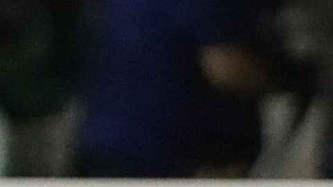 Club América durante el Torneo Apertura 2023 de la Liga MX.