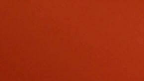 Antonio Mohamed, entrenador de los Pumas.