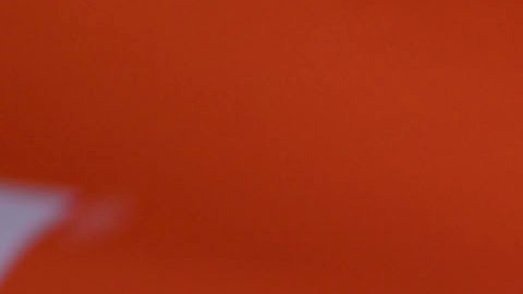 Antonio Mohamed, entrenador de los Pumas.