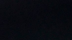 Fidalgo es una de las piezas principales del Club América.