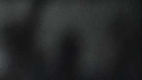 Alexis Vega lamenta su falla.