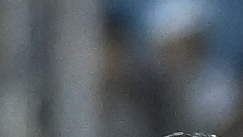 Honduras está a un paso de clasificar a la Copa América de 2024.