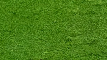 Selección de México.