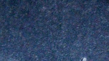 Fernando 'Tano' Ortiz, actual entrenador de Rayados de Monterrey.