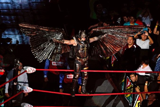 Rey Mysterio, durante la función de lucha libre Triplemanía XXIII de la empresa AAA en 2015.