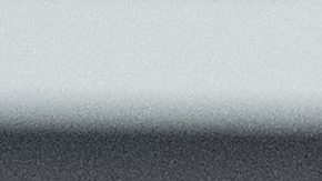 Julio César Chávez Jr.