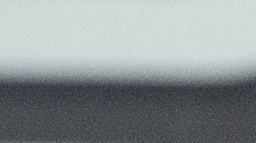 Julio César Chávez Jr.