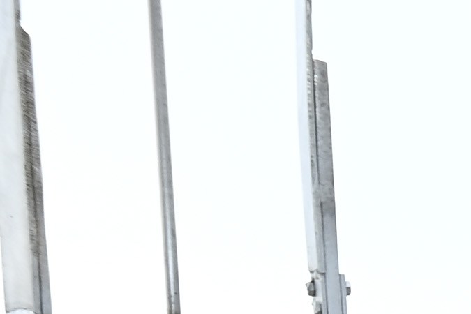 La empresa propietaria de Miss Universo, JKN Global Group, se declaró en bancarrota