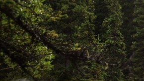 Jeep Rubicon 20th Anniversary edition 2023